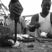 Fish market